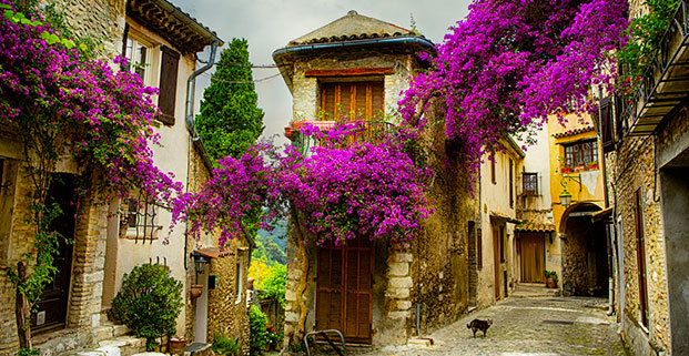 Provence