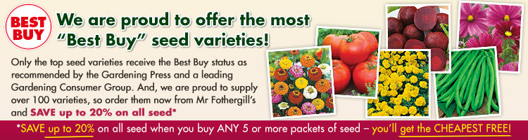 price of burberry shades