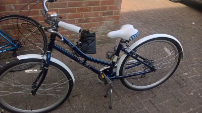 pendleton junior heath bike