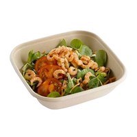 Packaging made from sustainable sources, sugarcane fibres Packaging made from sustainable sources, sugarcane fibres