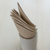 Compostable Paper Napkins