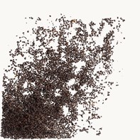 Loose Leaf Loose Leaf