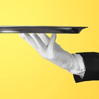 Waiter Gloves Waiter Gloves