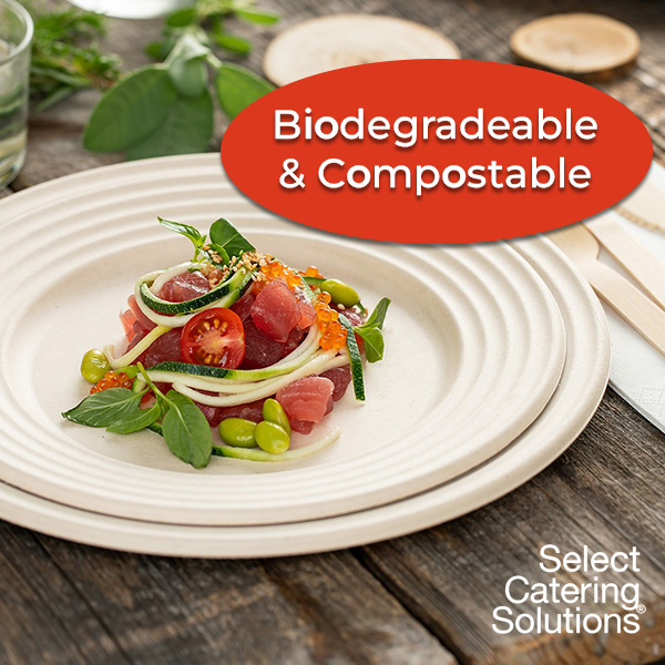 bagasse blog image 1 bagasse blog image 1