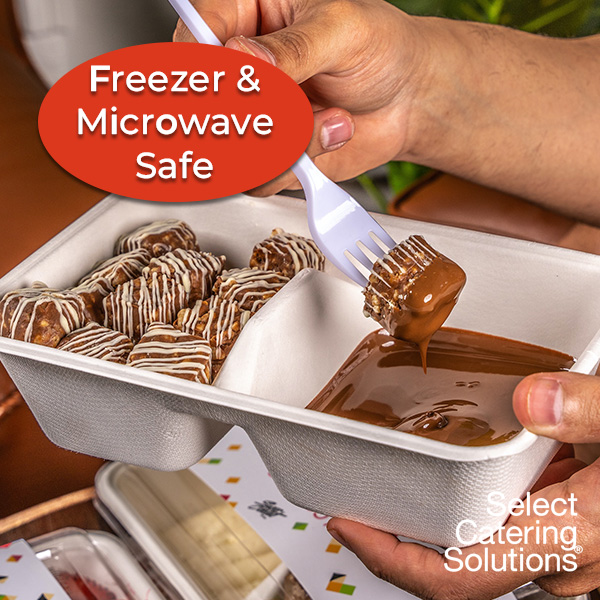 bagasse blog image 2 bagasse blog image 2