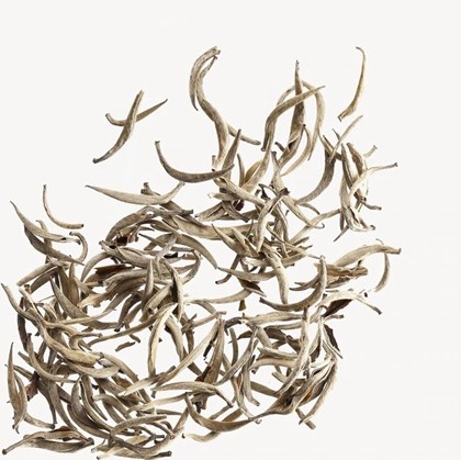 Canton Silver Needle 250g | Tea Canton Silver Needle 250g | Tea