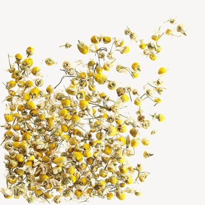 Loose Leaf Tea Loose Leaf Tea