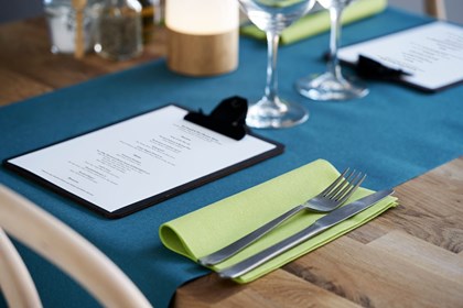 40cm Dunisoft Kiwi Napkins | Select Catering Solutions Ltd 40cm Dunisoft Kiwi Napkins | Select Catering Solutions Ltd
