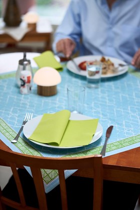 40cm Dunisoft Kiwi Napkins | Select Catering Solutions Ltd 40cm Dunisoft Kiwi Napkins | Select Catering Solutions Ltd