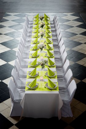 40cm Dunisoft Kiwi Napkins | Select Catering Solutions Ltd 40cm Dunisoft Kiwi Napkins | Select Catering Solutions Ltd