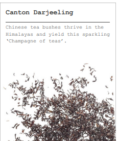 Canton Darjeeling Loose Leaf Tea 500g | Tea Canton Darjeeling Loose Leaf Tea 500g | Tea