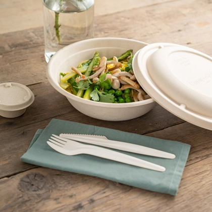 17cm Paper Spoon 17cm Paper Spoon