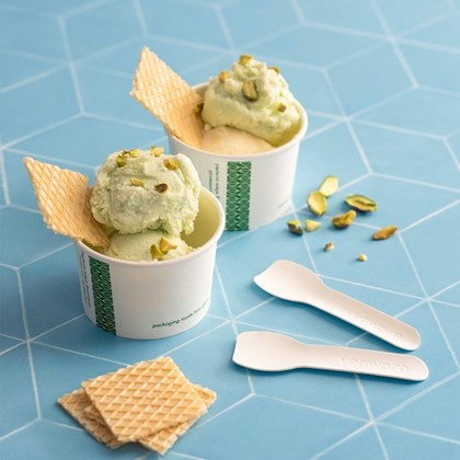 Compostable 3.5in Paper Ice Cream Spoon Compostable 3.5in Paper Ice Cream Spoon
