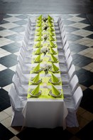 40cm Dunisoft Kiwi Napkins
