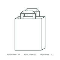 Large Recycled Kraft Paper (VEG) Carrier