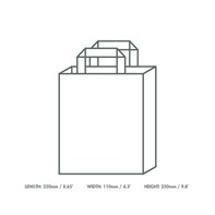 Medium Recyled Kraft Paper (VEG) Carrier