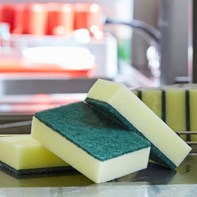 Sponge Scourer