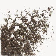 Canton Tea Loose Leaf Triple Mint, 500g