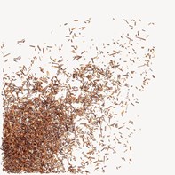 Loose Leaf Tea Canton Organic Wild Rooibos Loose Leaf Tea 1kg