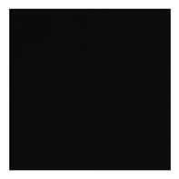 Napkin 2Ply 40cm Black