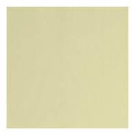 Napkin 2Ply 40cm Buttermilk