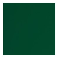 Napkin 2Ply 40cm Forest Green