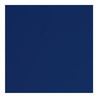 Napkin 2Ply 40cm Navy Blue 