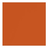 Napkin 2Ply 40cm Orange