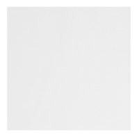 Napkin 2Ply 40cm White
