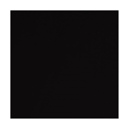 32cm 2Ply Black Napkins