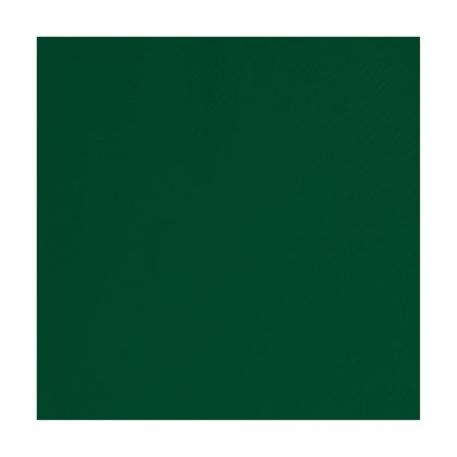 32cm 2Ply Forest Green Napkins 32cm 2Ply Forest Green Napkins
