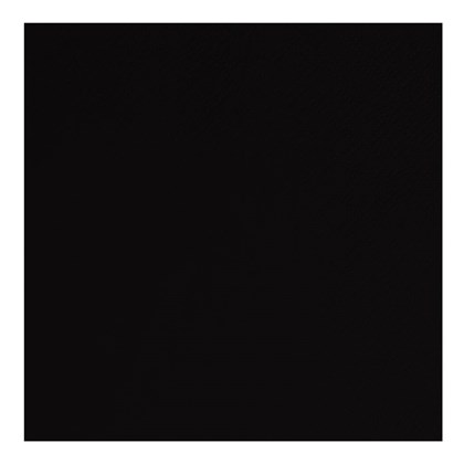 40cm 2Ply Black Napkins Napkin 2Ply 40cm Black