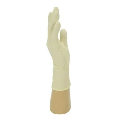Medium Clear Latex Gloves - Powdered | Select Catering Solutions Ltd Medium Clear Latex Gloves - Powdered