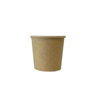 1oz Kraft Paper Portion Pot