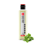 SHOTT Cold Light Syrup Wild Mint 1L SHOTT Wild Mint Cold Light Syrup 1L