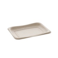 SS007_Tray 20x14cm BePulp Grab & Go Tray