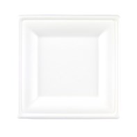 10.5" Square Bagasse Plate