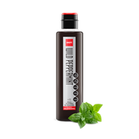 SHOTT Wild Peppermint Syrup 1L
