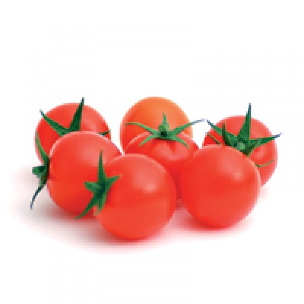 Lupitas