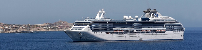 The Pros and Cons of Taking a Cruise