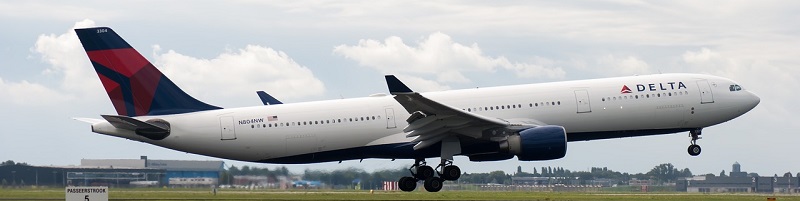 delta air baggage