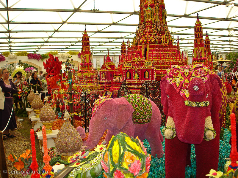 Выставка Челси 2011