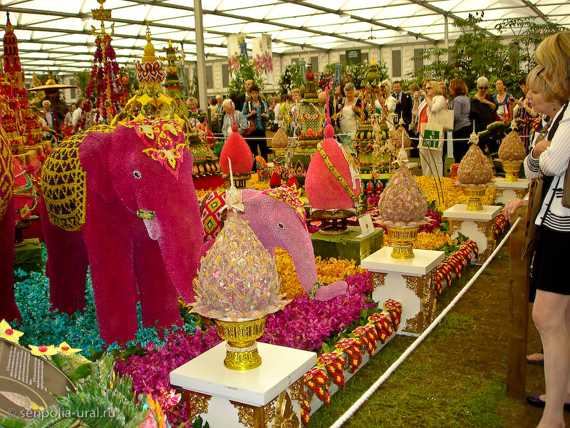 Выставка Челси 2011