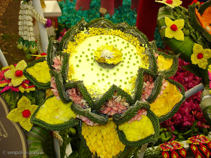 Выставка Челси 2011