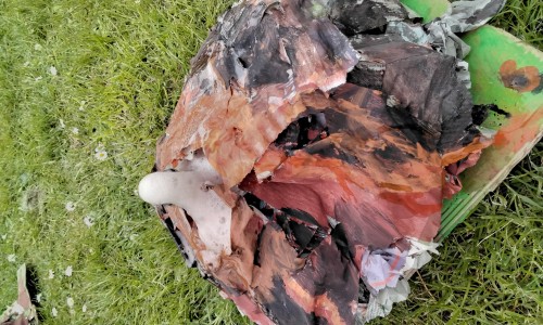 Y4 - Volcanoes