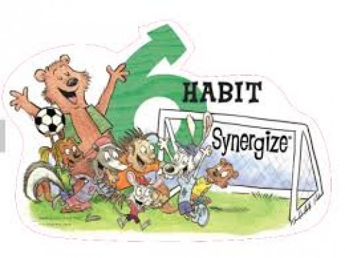 Habit 6