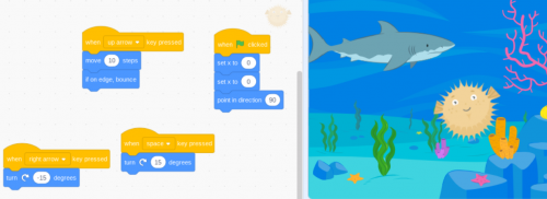 Year 5 Coding