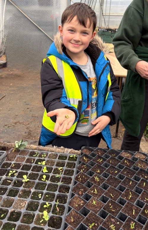 STEM Day- Growing plants
