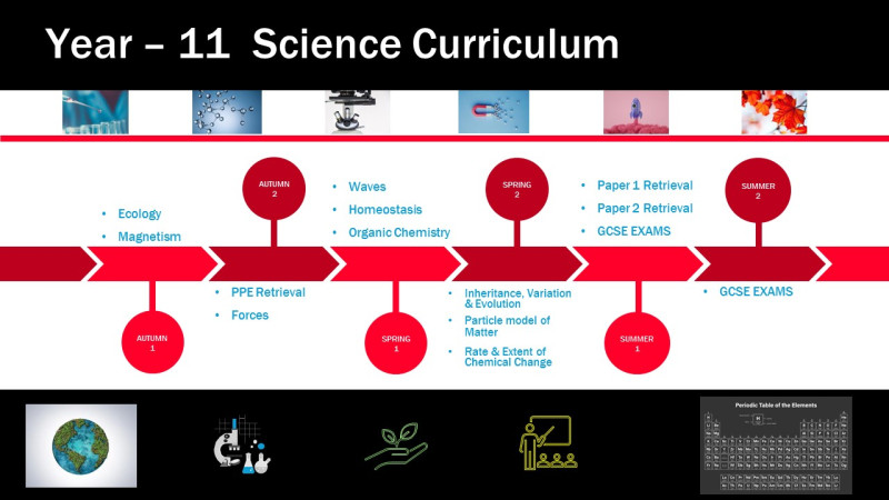 curriculumoverviewy11science