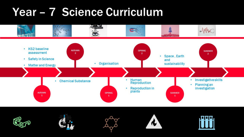 curriculumoverviewy7science